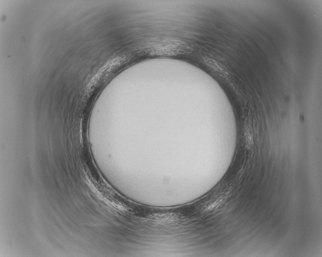 X0000053080686200508081246