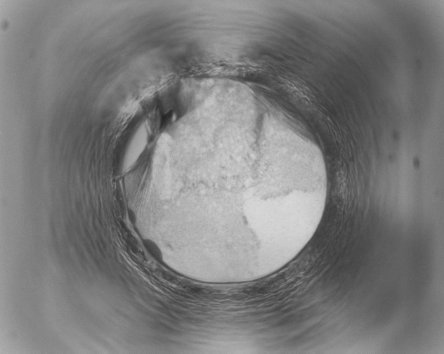 X0000053080687200508081246