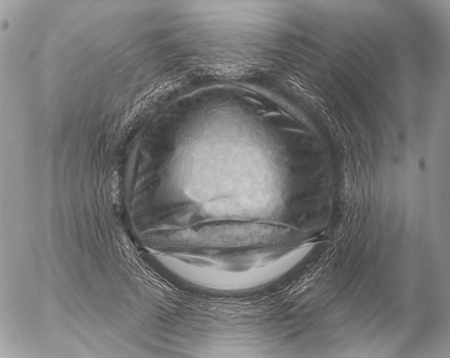 X0000053080689200508081246