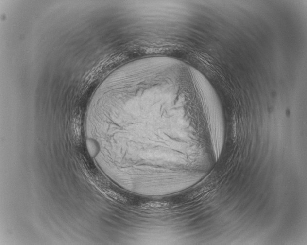 X0000053080691200508081246