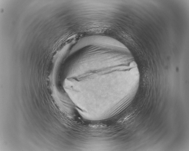 X0000053080693200508081246