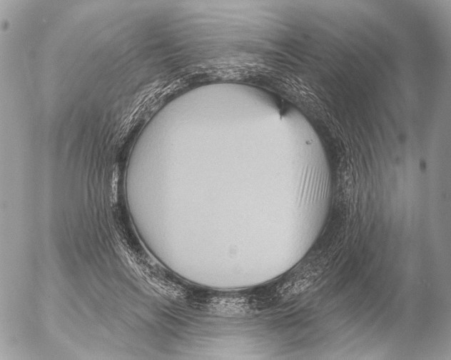 X0000053080694200508081246