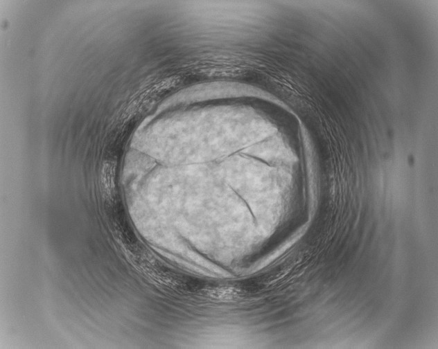 X0000053080695200508081245