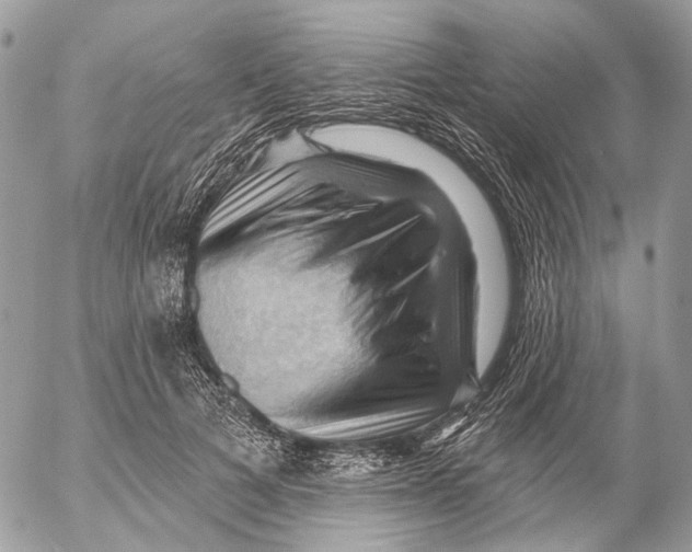 X0000053080697200508081245