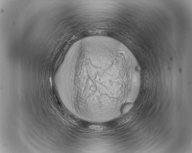 X0000053080699200508081245