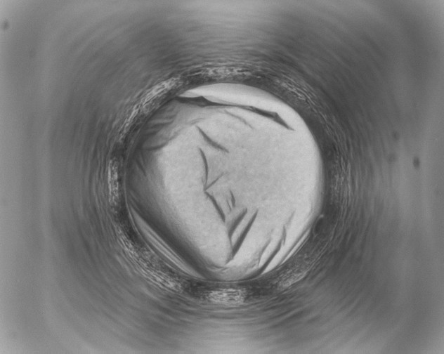 X0000053080700200508081245