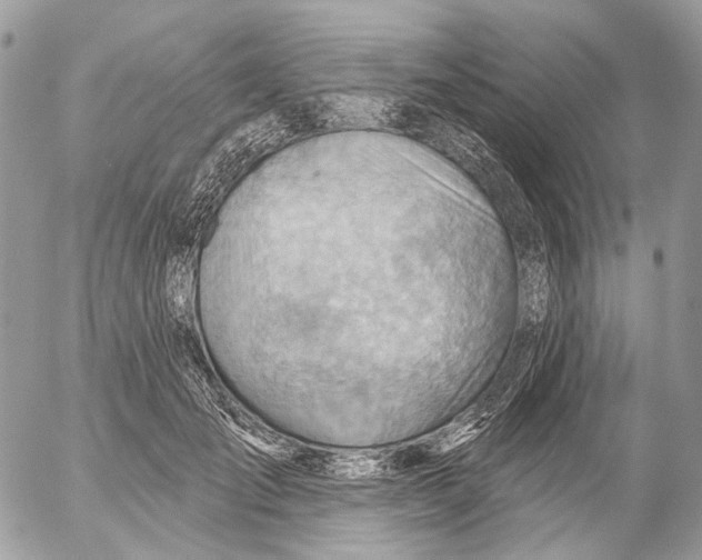 X0000053080701200508081245