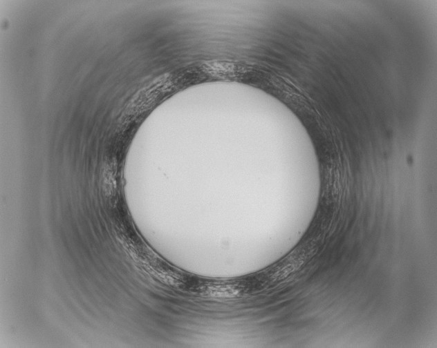 X0000053080702200508081245