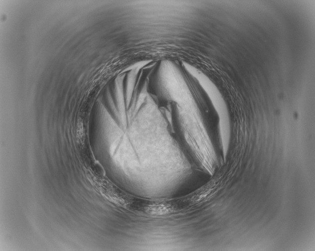 X0000053080704200508081245