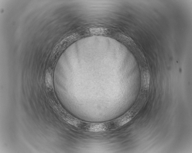 X0000053080705200508081245