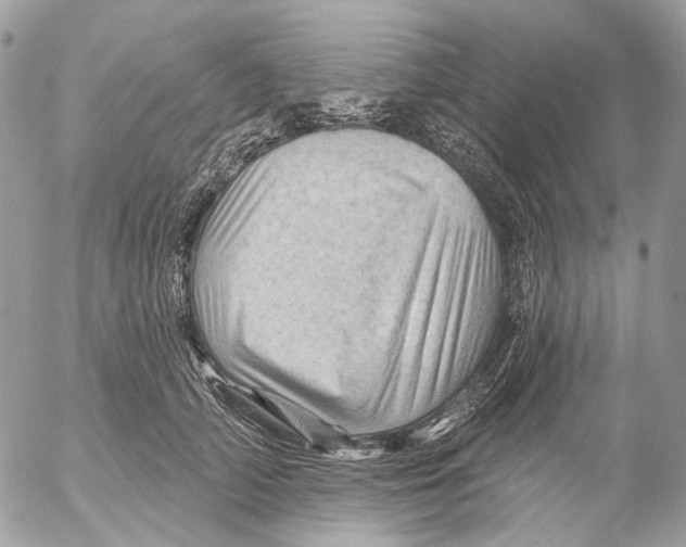 X0000053080706200508081245