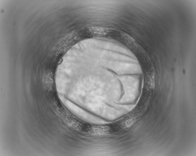 X0000053080707200508081245