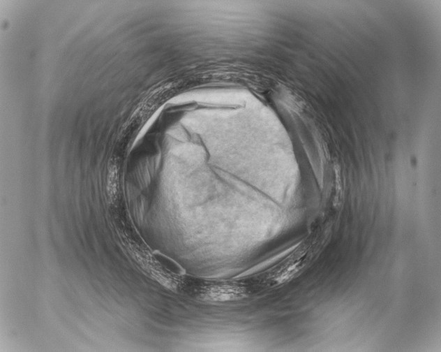 X0000053080708200508081245