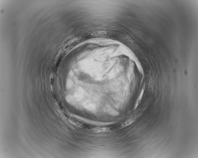 X0000053080711200508081245