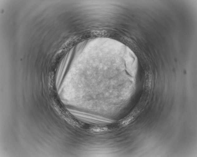 X0000053080712200508081245