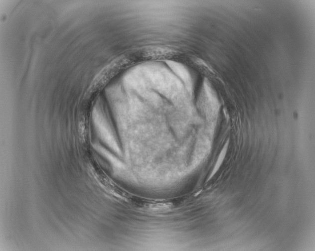 X0000053080716200508081245