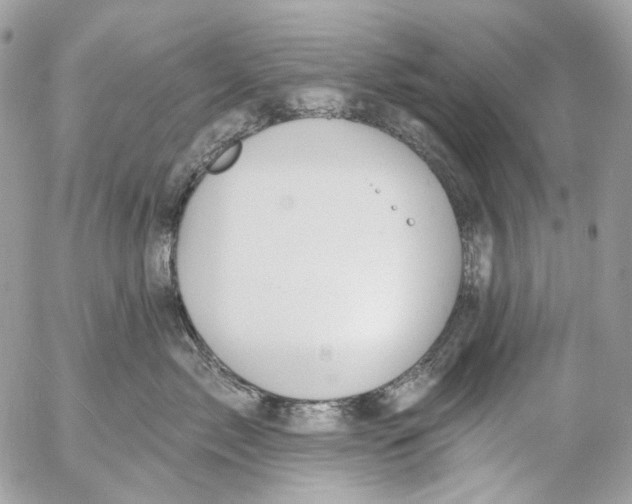 X0000053080717200508081245