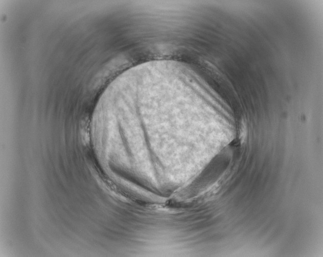 X0000053080719200508081245