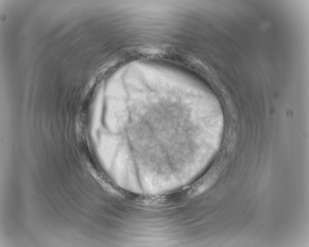 X0000053080720200508081245