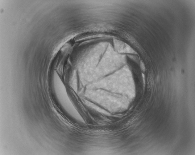 X0000053080722200508081244