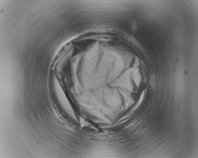 X0000053080724200508081244