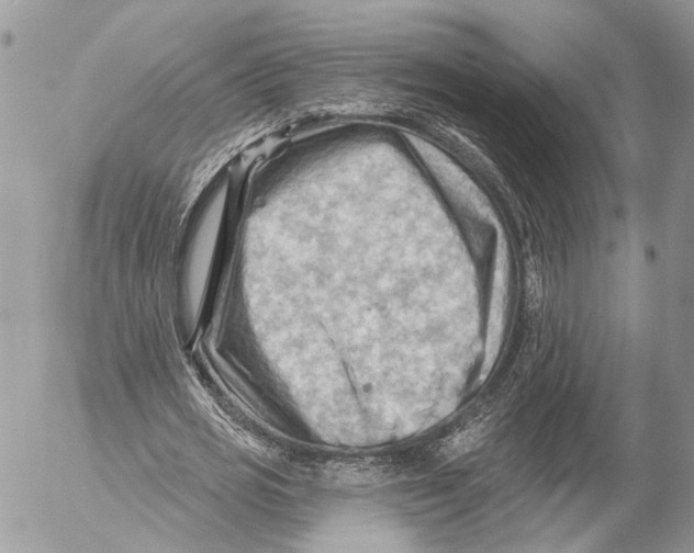 X0000053080725200508081244