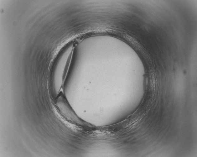 X0000053080728200508081244