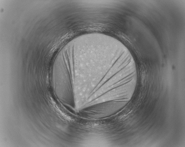 X0000053080729200508081244