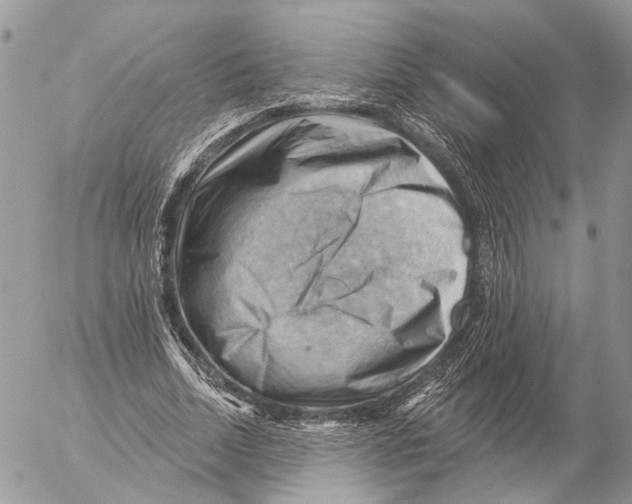 X0000053080730200508081244