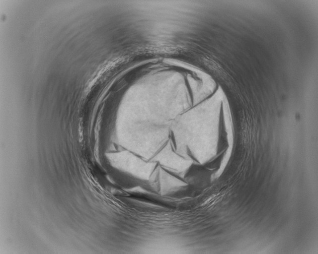 X0000053080731200508081244