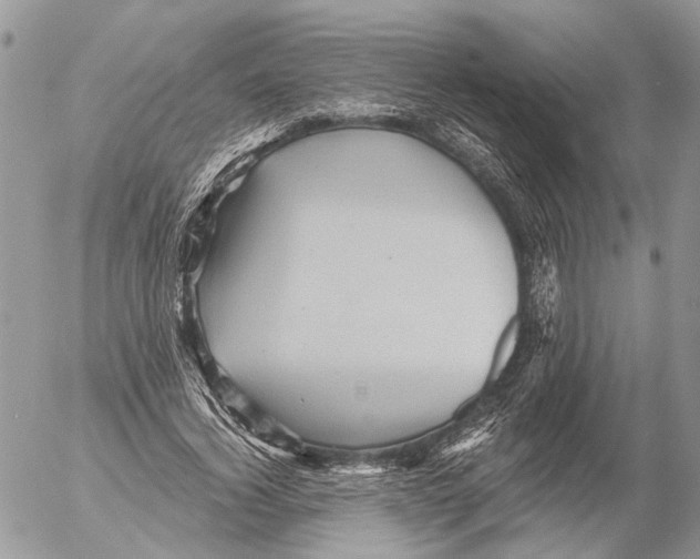 X0000053080732200508081244