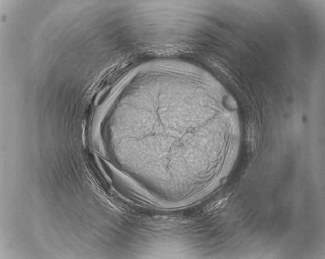 X0000053080733200508081244