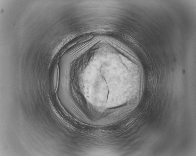 X0000053080734200508081244