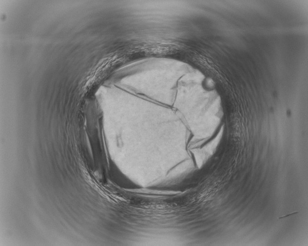 X0000053080738200508081245