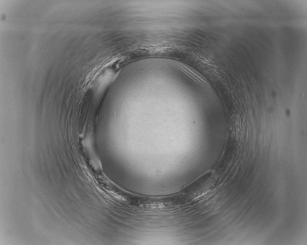 X0000053080740200508081245