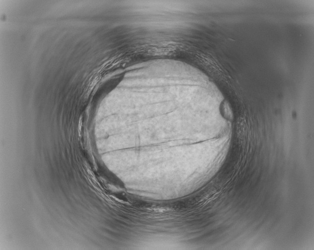 X0000053080741200508081245