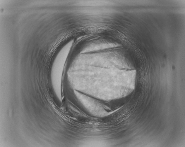 X0000053080742200508081245