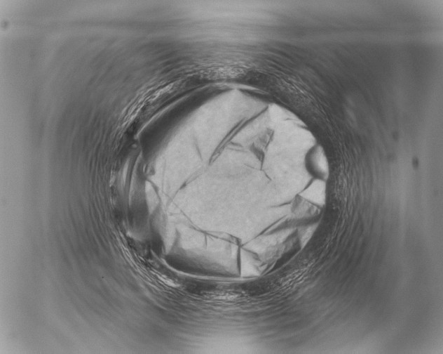 X0000053080743200508081245