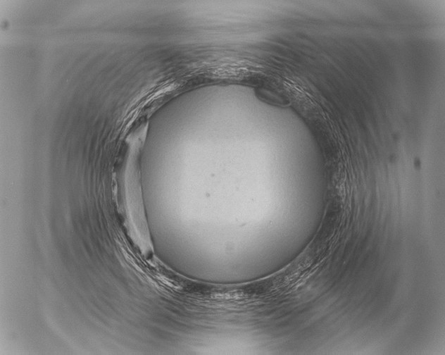 X0000053080744200508081245