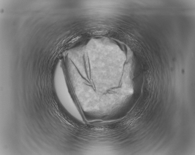 X0000053080745200508081245