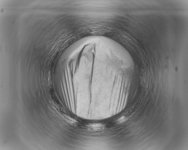 X0000053080748200508081245