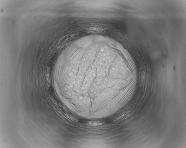 X0000053080749200508081245