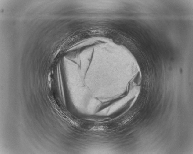 X0000053080751200508081245