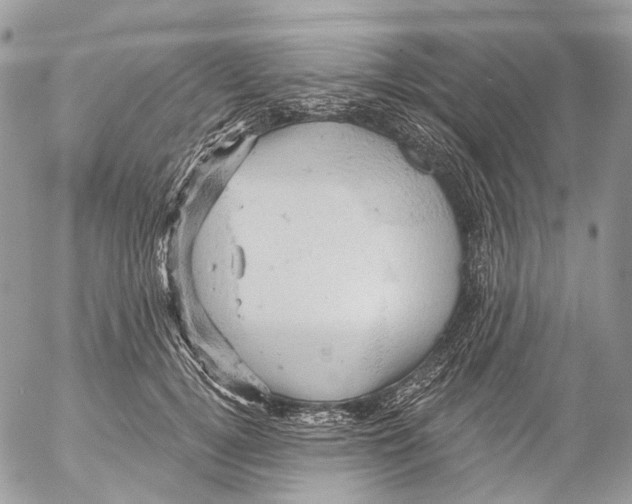 X0000053080752200508081245