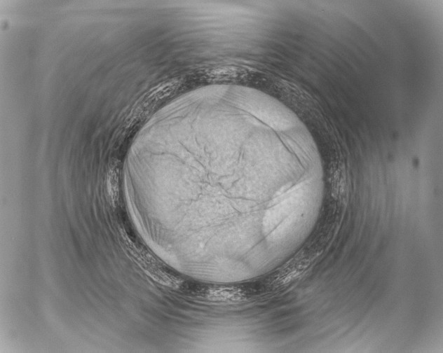 X0000053080753200508081245