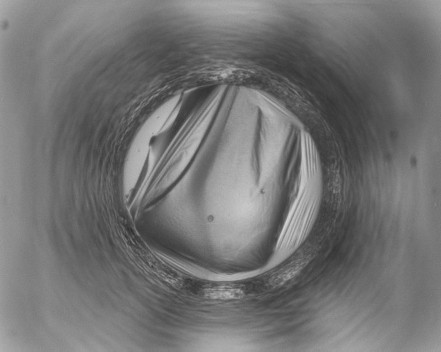 X0000053080754200508081245