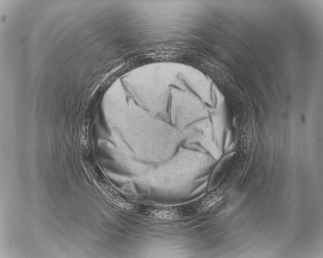 X0000053080755200508081245