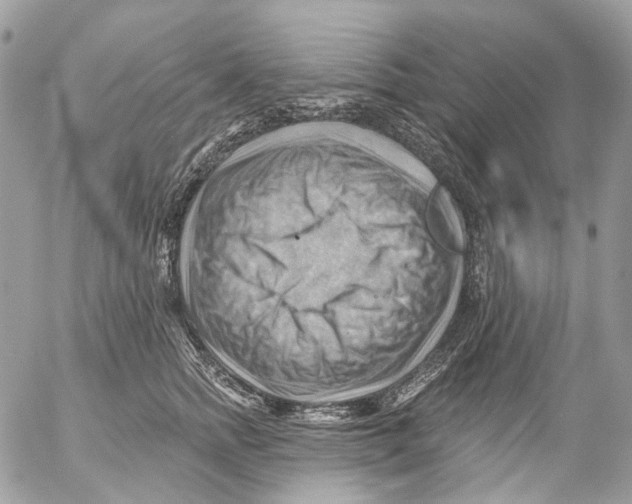 X0000053080758200508081245