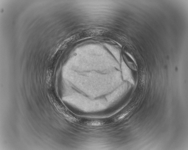 X0000053080759200508081245