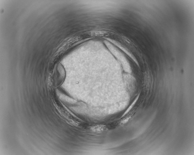 X0000053080761200508081245